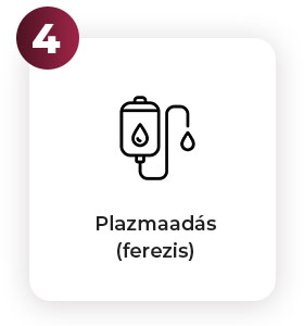 plazmacentrum_folyamatabra